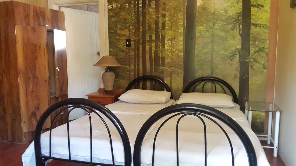 Rosebank Lodge & Backpacker Johannesburg Esterno foto